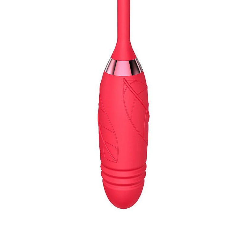 Vibrador Ponto G Clitóris Vai e Vem Formato Rosa Recarregável USB